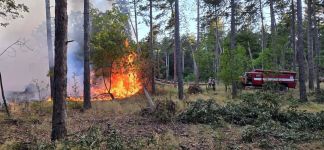 Пожарникари от три общини и доброволци успяха да овладеят бушуващ пожар между Гурково и Конаре / Новини от Казанлък