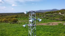 Електроразпределение Юг обезопаси 650 стълба за опазване на световнозастрашени видове птици  / Новини от Казанлък