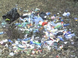 Десет декара земеделска земя в казанлъшко - блокирани от сметище  / Новини от Казанлък