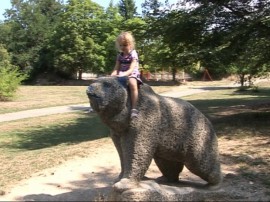 Синя мечка в Казанлък / Новини от Казанлък