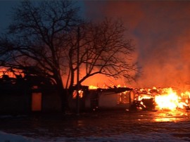 Пожар изпепели краварниците в Енина, в пламъците изгоряха 30 крави / Новини от Казанлък