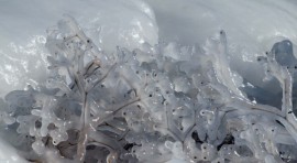 Минус 10 градуса са измерени тази сутрин в Казанлък  / Новини от Казанлък