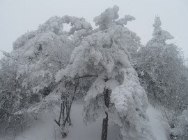 Метеоролозите: По-обилни валежи от сняг в областта има над общините Казанлък, Чирпан, Павел баня и Мъглиж  / Новини от Казанлък