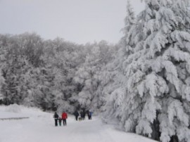 Снимки от връх Бузлуджа