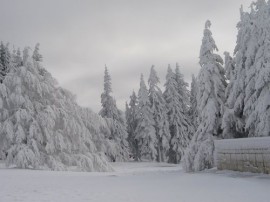 Снимки от връх Бузлуджа