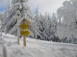 Снимки от връх Бузлуджа