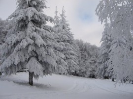 Снимки от връх Бузлуджа