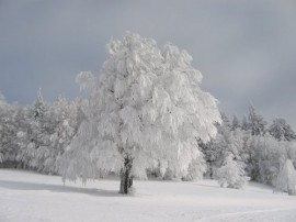 Снимки от връх Бузлуджа