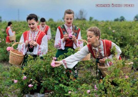 Фестивалът на розата бе презентиран от зам.-министър Иво Маринов в Берлин  / Новини от Казанлък