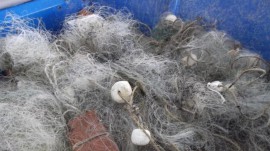 Заловиха бракониери опънали 700 метра мрежа на язовир Жребчево / Новини от Казанлък