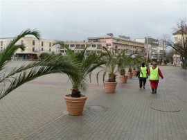 Центърът на Казанлък отново придоби екзотично излъчване