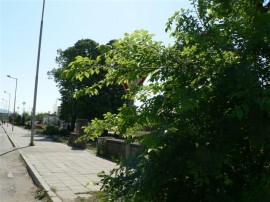 Kazanlak.Com сигнализира за нов проблем с пътен знак