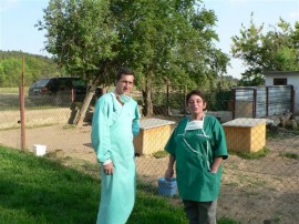 До утре ще продължи кампания по кастриране на бездомни кучета и котки в Казанлък