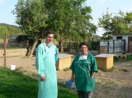 В Казанлък започват пръскане против кърлежи и комари / Новини от Казанлък