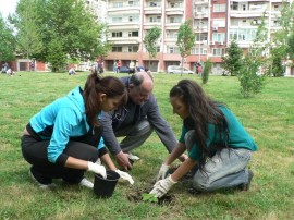 Общинари и кандидат царици засадиха дървета в квартал Васил Левски