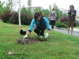 Общинари и кандидат царици засадиха дървета в квартал Васил Левски