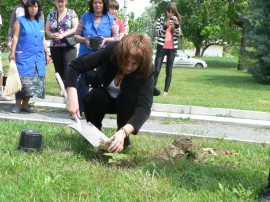 Общинари и кандидат царици засадиха дървета в квартал Васил Левски / Новини от Казанлък