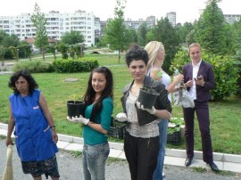 Общинари и кандидат царици засадиха дървета в квартал Васил Левски