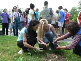 Общинари и кандидат царици засадиха дървета в квартал Васил Левски