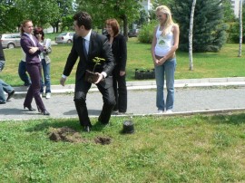 Общинари и кандидат царици засадиха дървета в квартал Васил Левски