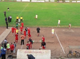 Две кози станаха зрители на равенство на розите