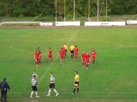 Две кози станаха зрители на равенство на розите