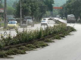 Разкрасиха пространството около ромската махала