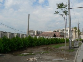 Разкрасиха пространството около ромската махала / Новини от Казанлък