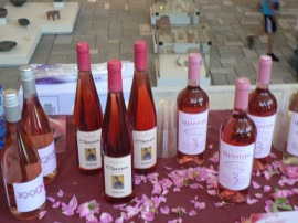 Вина от цяла България участват във “Фестивала на Виното Розе“ / Новини от Казанлък