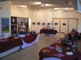 Вина от цяла България участват във “Фестивала на Виното Розе“