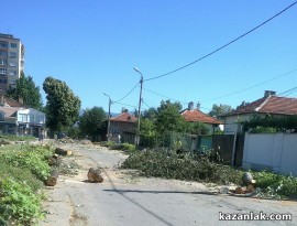 Отсякоха липите по Стамболийски