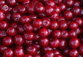 4 дървета станаха жертва на вишневата кампания / Новини от Казанлък