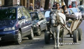 Каруците в Казанлък - разрешени / Новини от Казанлък