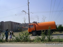 Бурята събори топола върху булевард Батенберг