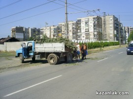 Бурята събори топола върху булевард Батенберг
