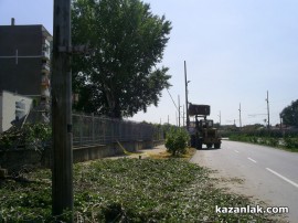 Бурята събори топола върху булевард Батенберг