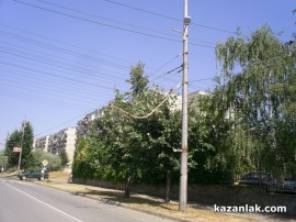 Бурята събори топола върху булевард Батенберг