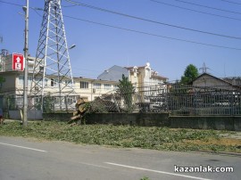 Бурята събори топола върху булевард Батенберг