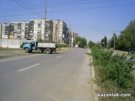 Бурята събори топола върху булевард Батенберг