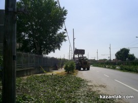 Бурята събори топола върху булевард Батенберг