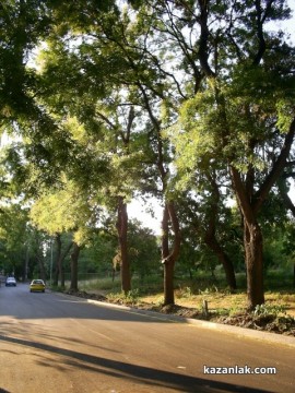 Приключи асфалтирането на „Старозагорска”