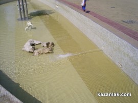 Почистиха шадравана