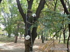 Отстраниха опасния клон в двора на ПГ “Иван Хаджиенов“