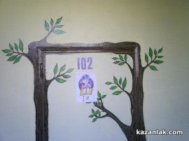 Проблемът с тоалетните в Антим е преувеличен