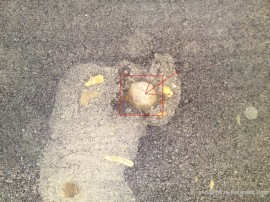 РепорТИ отново привлече вниманието на Община Казанлък / Новини от Казанлък