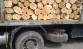 Паднали от камион дърва удариха двама пешеходци / Новини от Казанлък