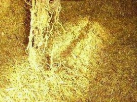 Разкриха нелегална работилница за преработка на тютюн / Новини от Казанлък