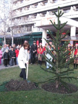 За втора година Галина Стоянова поде инициативата “Коледа в Казанлък“