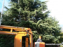  Снимки: Казанлък вече има Коледна елха