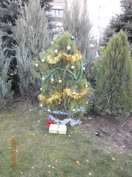 Младежи украсиха елха в центъра на Казанлък